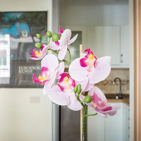 Fornaci Apartment *